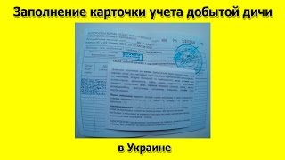 Заполнение карточки учета добытой дичи в Украине