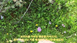 원허 지운스님[서울] 해심밀경 제12강 '무위법도 임시방편' (음성강의).