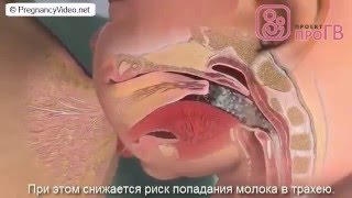 Грудное вскармливание