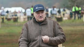 Лукашенко: Европейцы не хотят этой войны! Они понимают, что сегодня в Украине!