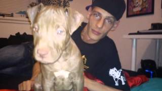 Joe P Ft Lil Joe - En rapper ka kalde jer for kælling