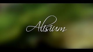 ArcheAge , Alisium(Гленн) - Сражения на Солнечных полях