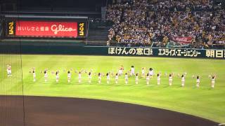 2014 日本シリーズ Let's Go! トラッキー & Tigers Girls Performance