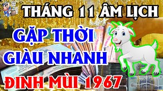 Tử Vi Tháng 11 ÂL Tuổi Đinh Mùi 1967, THẦN TÀI Cho Lộc, Gặp Thời TRÚNG SỐ Bất Ngờ, TIỀN BẠC Bủa Vây