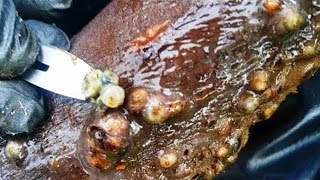 Javan has MORE Jiggers!  Huge Pops!