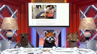 СТРИМ: Новое экспериментальное шоу