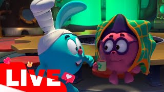 ПРЯМОЙ ЭФИР! LIVE Cмешарики ПинКОД | 3 сезон | Наука для детей
