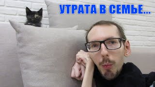 Утрата в Семье... / Сидим без воды / Не спим ночами / GrishAnya Life
