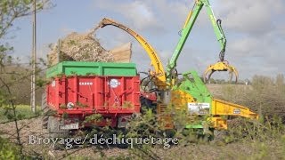 EURL Joubert Stépha'bois - abattage bois, broyage/déchiquetage et livraison