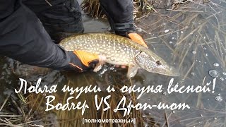 Ловля щуки и окуня весной на спиннинг. Воблер VS Дроп-шот.