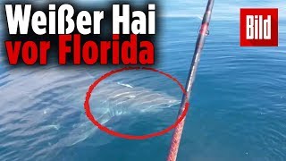Diesen Schockmoment werden zwei Fischer von der Ostküste Floridas nie vergessen