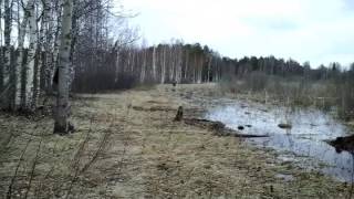 Весна 2017 года нерест щуки