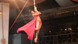 Catwalk Dance Festival XI, poledancer, sexy dance, пилон, танец на шесте