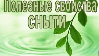 Полезные свойства сныти. Здравушкины рецепты с Оксаной Мицкевич