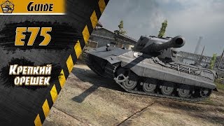 E75 обзор - Плюсы и минусы | Гайд | WoT| LifeScotch