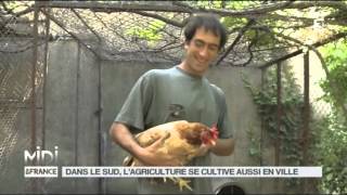 LE FEUILLETON : Dans le Sud, l'agriculture se cultive aussi en ville
