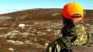 Rypejakt Reinli 2010