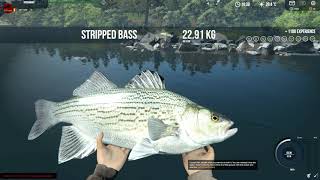 Professional Fishing Game, Lev 50 Bass Paradise Marshland, Striped bass, Smallmouth Bass Part 8
