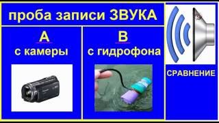 СРАВНЕНИЕ записи Звука с Видеокамеры и Гидрофона. Fishing angeln la pesca câu cá 钓鱼 рыбалка