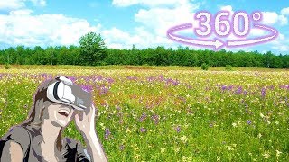 Панорамное Видео 360 VR 4K для очков виртуальной реальности. Поле...Русское по-оле...