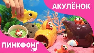 Акулёнок 123 | Акулёнок | Песни про Животных | Пинкфонг Песни для Детей