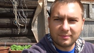 ПЕРВЫЕ ТРУДНОСТИ В ДЕРЕВНЕ