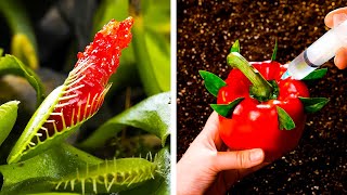 How to grow your plants at home || Easy gardening hacks