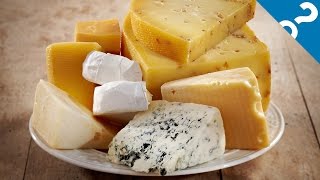 5 Gross Things That Make Cheese Delicious | What the Stuff?!