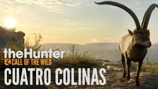?LIVE?!!! PS4!!! Cuatro Colinas?!!! Robimy Misje???!!!