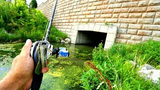 BANK FISHING an Urban Pond!! --It was LOADED!!