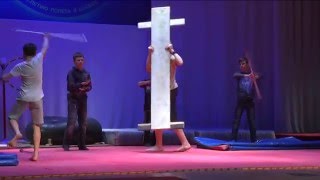 Королёвские артисты цирка покажут 30 номеров на конкурсе «Городские цветы»