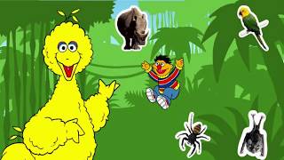 Sesame Street: Journey to Ernie