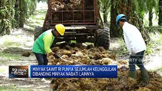 Produk Sawit RI Dijegal, BPDPKS: Itu Trik Perang Dagang!
