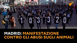 Madrid: manifestazione contro gli abusi sugli animali negli allevamenti e nei macelli