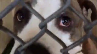 WATCH ALL! OPERATION MDAS SWEATER PATROL PART 1 - JANUARY 23, 2016