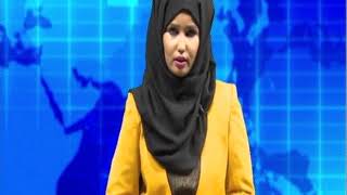 warka universaltv 18 08 2017