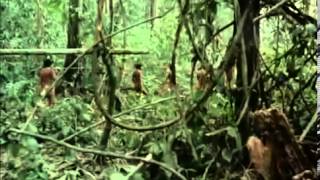 El Hombre y la Tierra - En Busca de los Indios del Alto Orinoco.