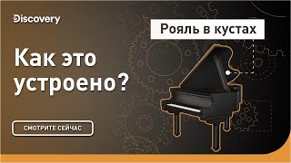 "Рояль в кустах" | Как это устроено? | Discovery