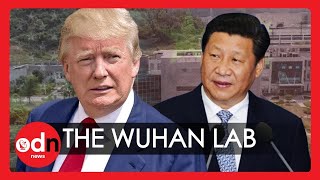 USA vs China: Donald Trump's Wuhan Lab Theory Explained