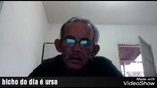 Palpites para dia 17/07/2017