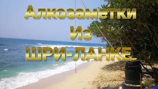 АЛКОЗАМЕТКИ ИЗ ШРИ-ЛАНКЕ!!! ОТПУСК 2020!!!