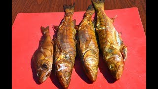 Как коптить рыбу в коптильне. Копчение судака./Smoked fish.