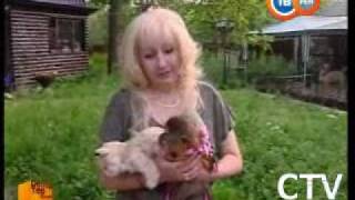 Кинолог Марина Рыжникова - marina rizhnikova