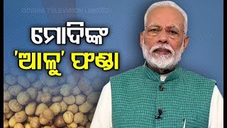 PM Modi Addresses 3rd Global Potato Conclave In Gujarat