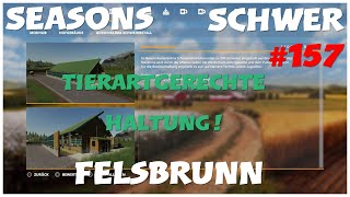 #Ls19#Fs19/PS4/Livestream/#157/Felsbrunn auf der Stufe#Schwer/Klimastall:Finanzieren oder Pachten?