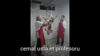 Cemal usta et profösürü