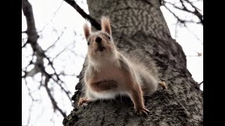 Подборка моих фотографий за ноябрь / A selection of my photos for November