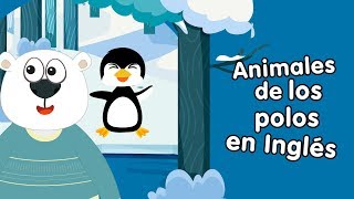 Animales de los polos en inglés cantando canciones infantiles