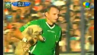 Perro entra a la cancha Quilmes - River Plate