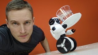 Хочешь быть облит? Покупай робота WLtoys F4